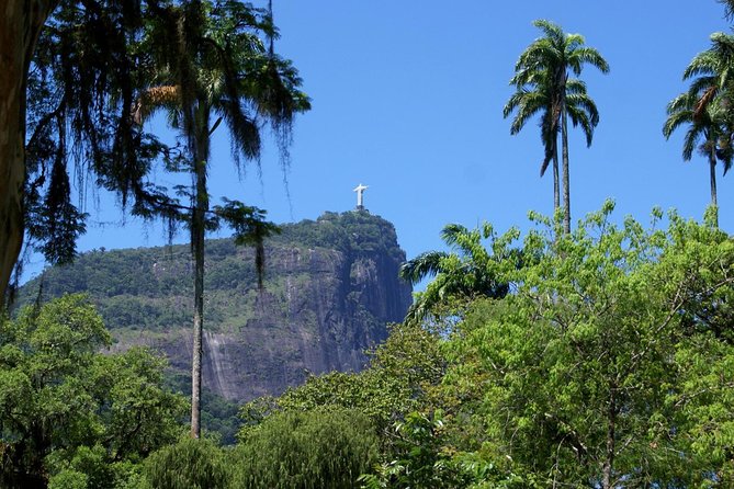 Jeep'n'Green: Rio Botanical Garden and Tijuca Rainforest Tour - Two hours among palms and orchids
