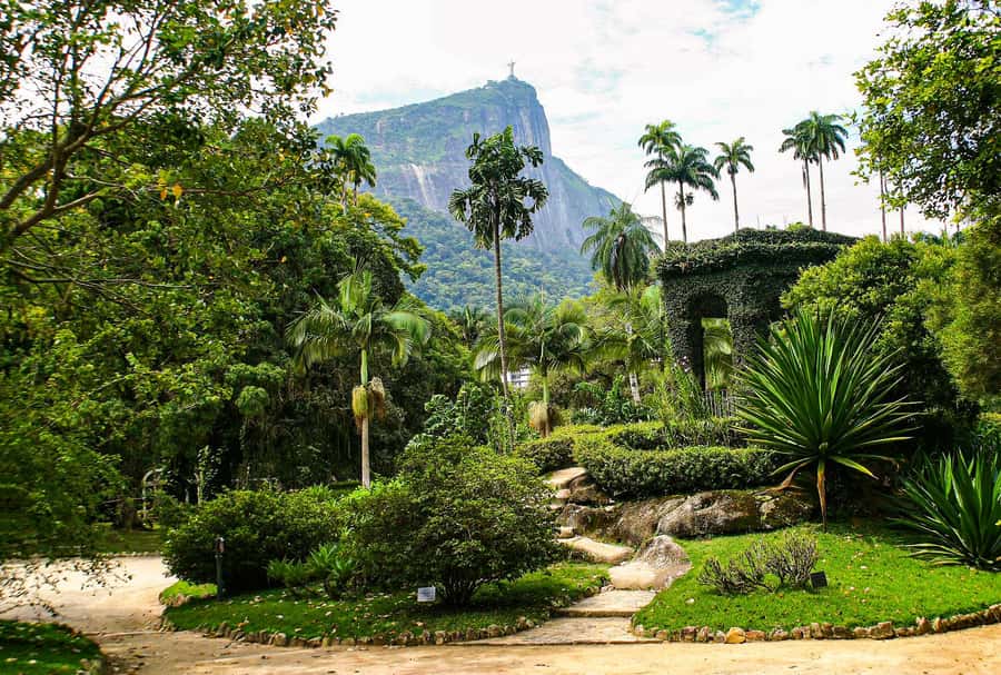 Jeep'n'Green: Rio Botanical Garden & Tijuca Rainforest Tour - Why this four-hour outing works