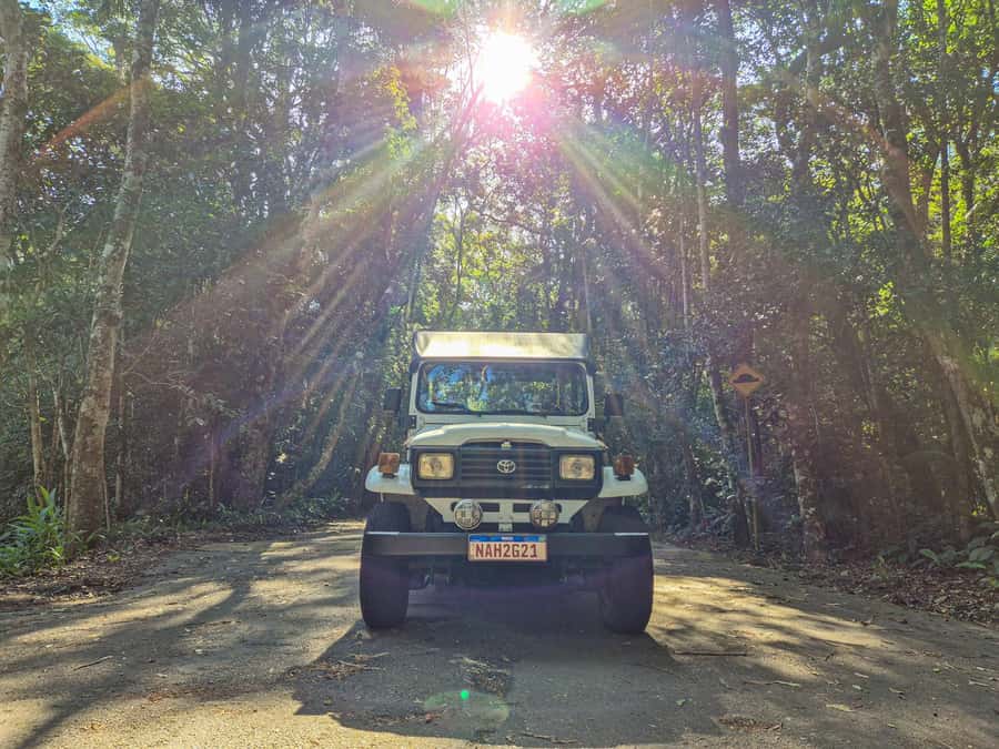 Jeep'n'Green: Rio Botanical Garden & Tijuca Rainforest Tour - Riding into Tijuca Atlantic Forest