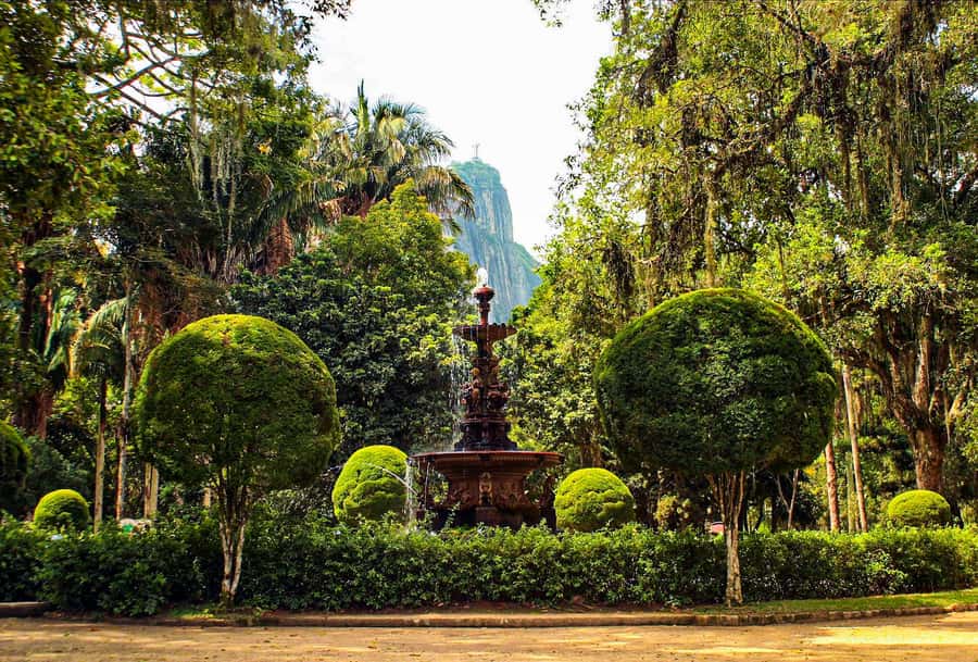 Jeep'n'Green: Rio Botanical Garden & Tijuca Rainforest Tour - Emperor’s Table and the high Rio view