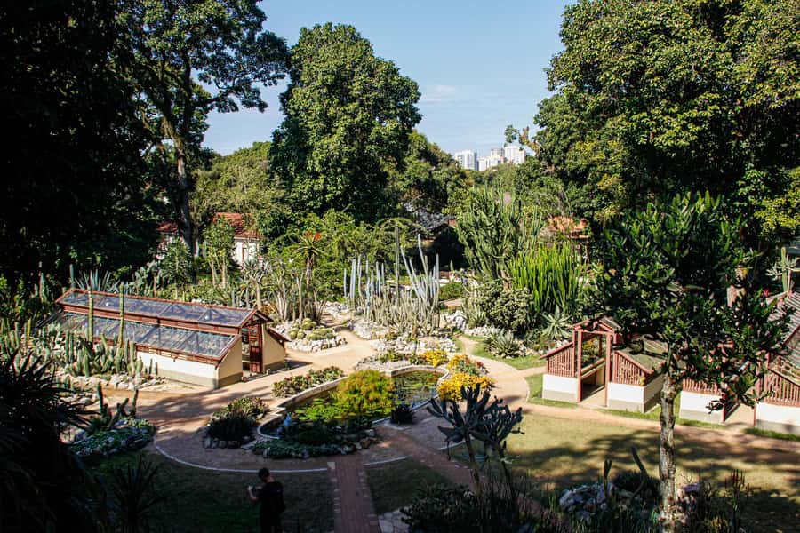 Jeep'n'Green: Rio Botanical Garden & Tijuca Rainforest Tour - Vista Chinesa and the city below