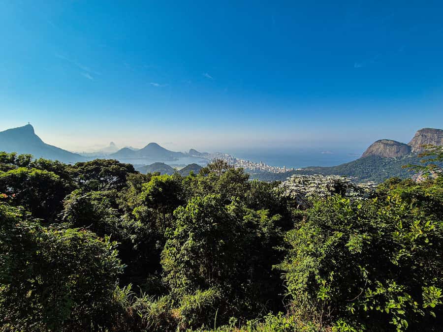 Jeep'n'Green: Rio Botanical Garden & Tijuca Rainforest Tour - The 15 to 30-minute eco-trek