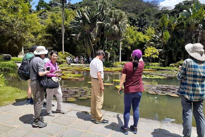 Jeep Tour Botanic Garden and Tijuca Rainforest - Pepino Beach and the return to the coast