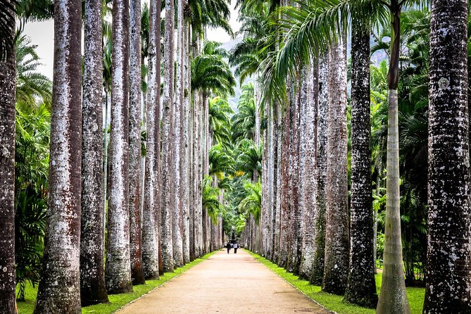 Jeep Tour Botanic Garden and Tijuca Rainforest - The guide can make or break the four hours