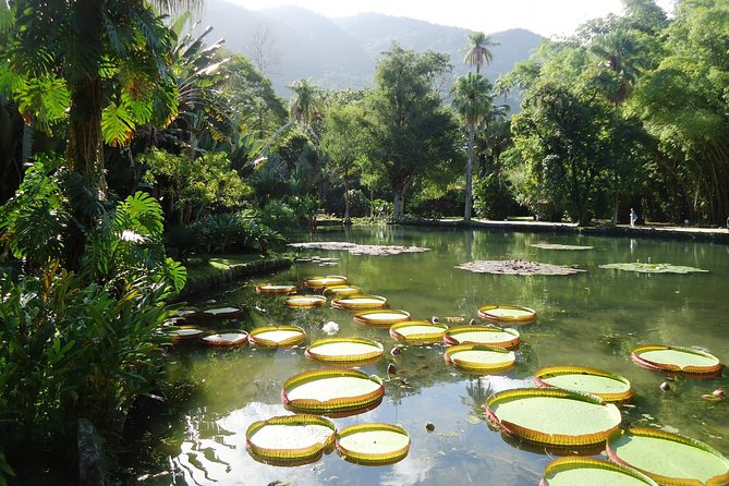 Jeep Tour Botanic Garden and Tijuca Rainforest - Price, pace, and the real value