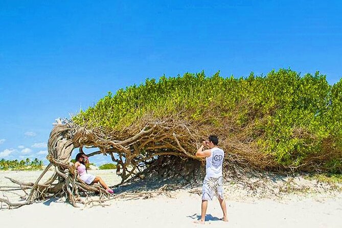 Jericoacoara Premium Full Day Tour - Arvore da Preguica, a tree shaped by wind