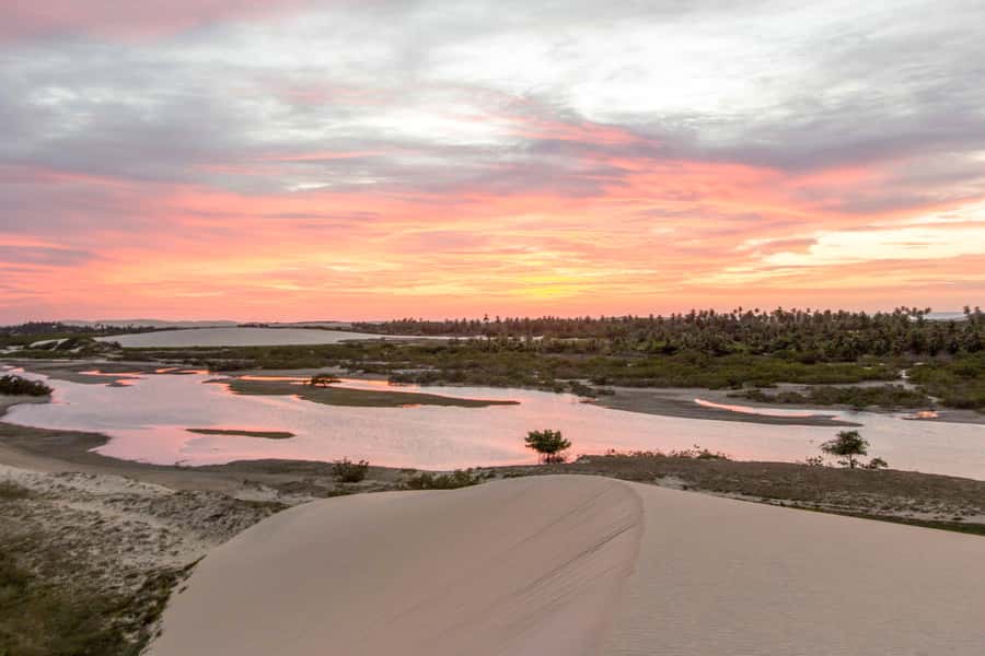 Jericoacoara: Tatajuba Beach Tour - Why this six-hour outing works