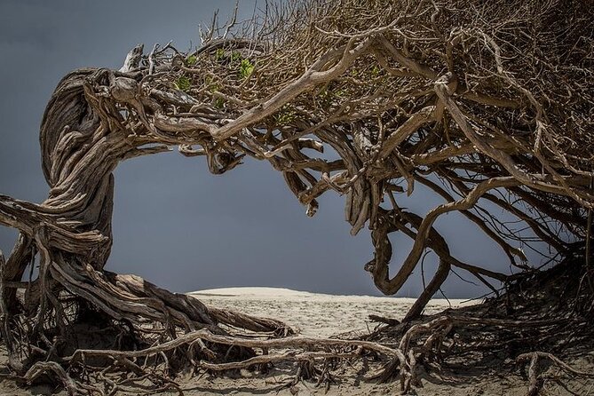 Jericoacoara Tour in 1 Day - Dunes and the village of Jericoacoara