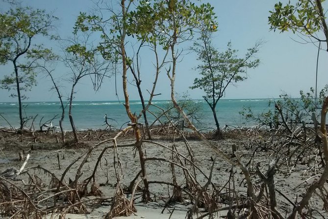 Jericoacoara West Coastal Tour - Guriú begins the morning with water and open views
