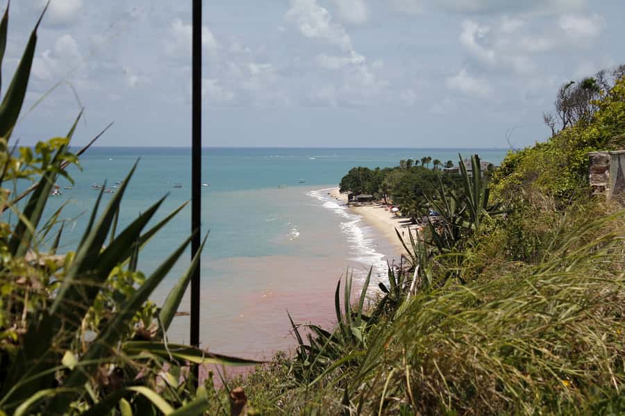 Joao Pessoa City Tour - São Francisco and the old center