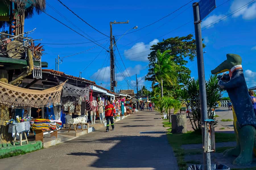 Joao Pessoa Northern Coast Beaches Day Tour - What this 10-hour coastal tour is really like