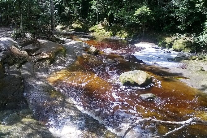 Jungle Walk with Caves and Waterfalls, Amazon Private Day Tour - Why Presidente Figueiredo makes a good day trip