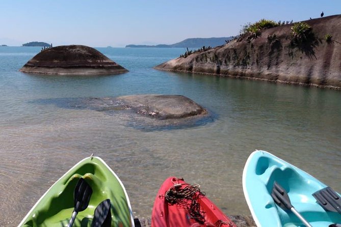 Kayaking Mangroves tour ( Natural Reserve ) - Why this Paraty kayaking trip is worth your morning