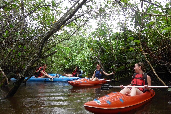 Kayaking Mangroves tour ( Natural Reserve ) - Paddling from Pontal toward the islands
