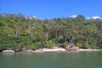 Kayaking Mangroves tour ( Natural Reserve )