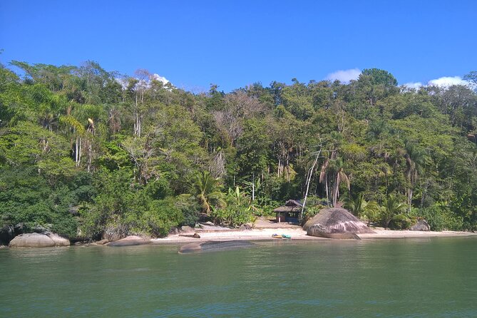 Kayaking Mangroves tour ( Natural Reserve ) - Choosing between the two-hour and three-hour routes