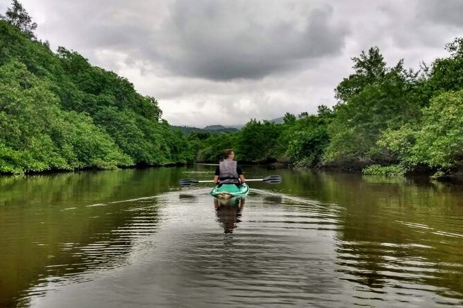 Kayaking to the mangroves - Key Things to Know Before You Paddle