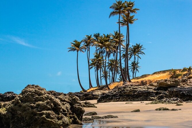 Lagoinha Beach Tour - Key points to know before booking