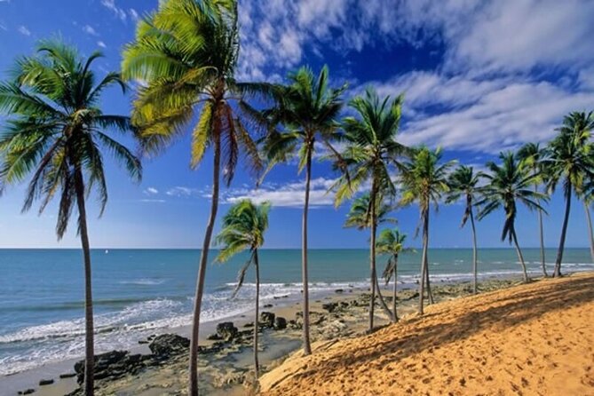 Lagoinha Beach Tour - The early departure from Fortaleza