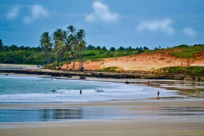 Lagoinha Beach Tour - Optional buggy rides across the dunes