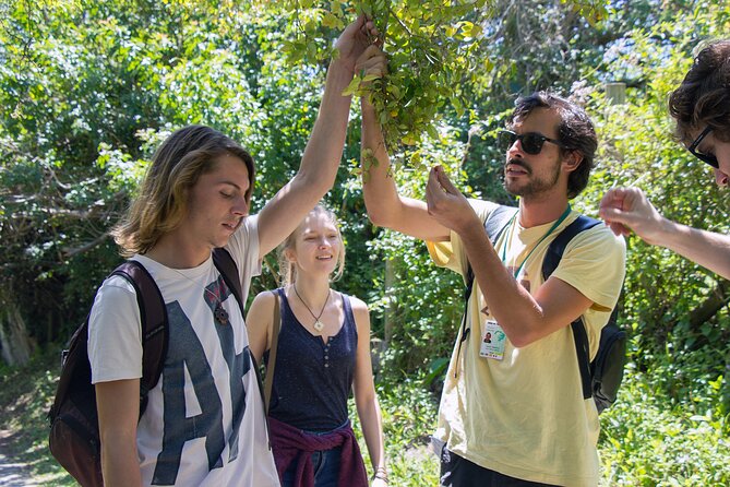 Lagoinha do Leste Hiking and Photography Tour in Florianopolis - Time at the beach and the warmer lagoon