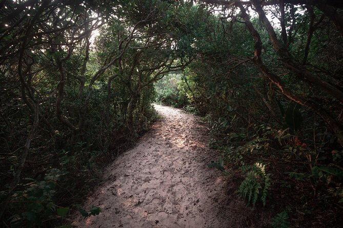 Lagoinha do Leste Hiking and Photography Tour in Florianopolis - What the $78.86 price really covers