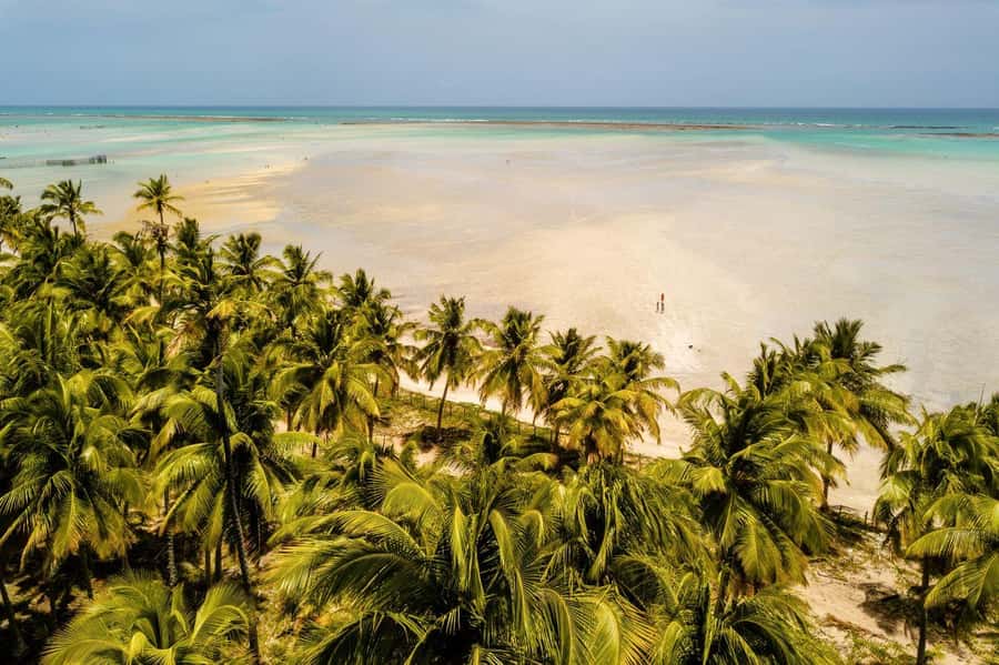 Maceio: Tour to Maragogi Beach - Key points to know before you book