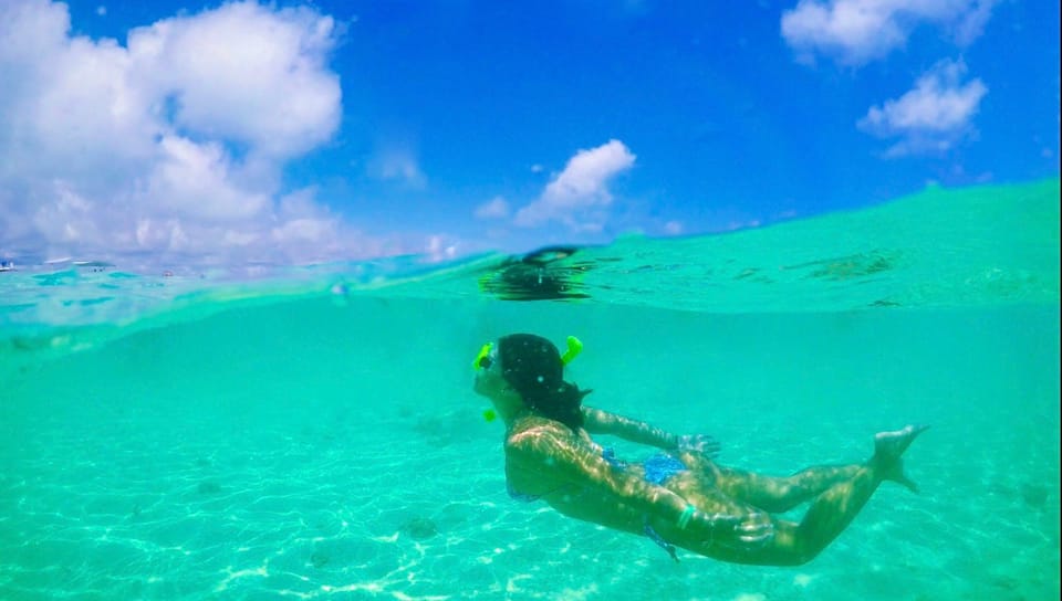 Maceio: Tour to Maragogi Beach - Why the reef pools appeal to snorkelers