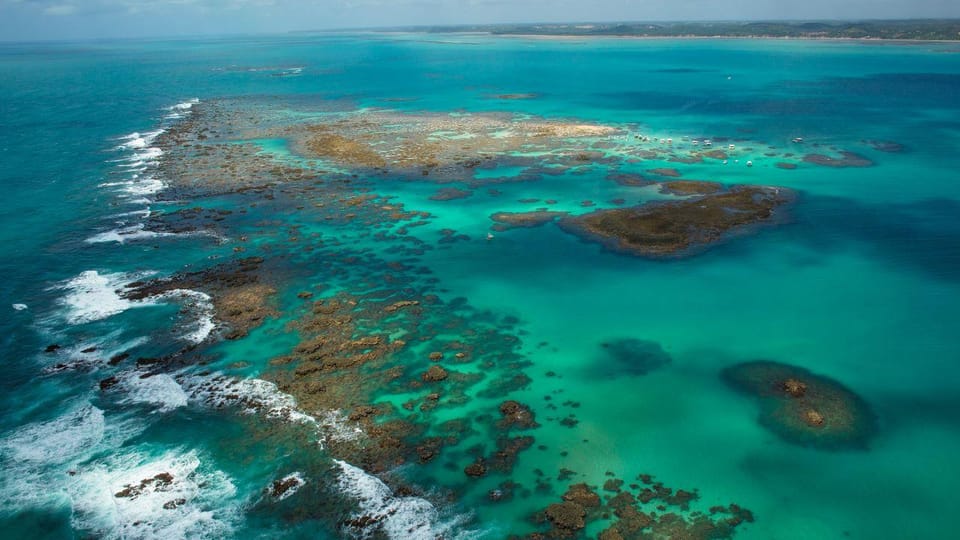 Maceio: Tour to Maragogi Beach - The guide language issue matters
