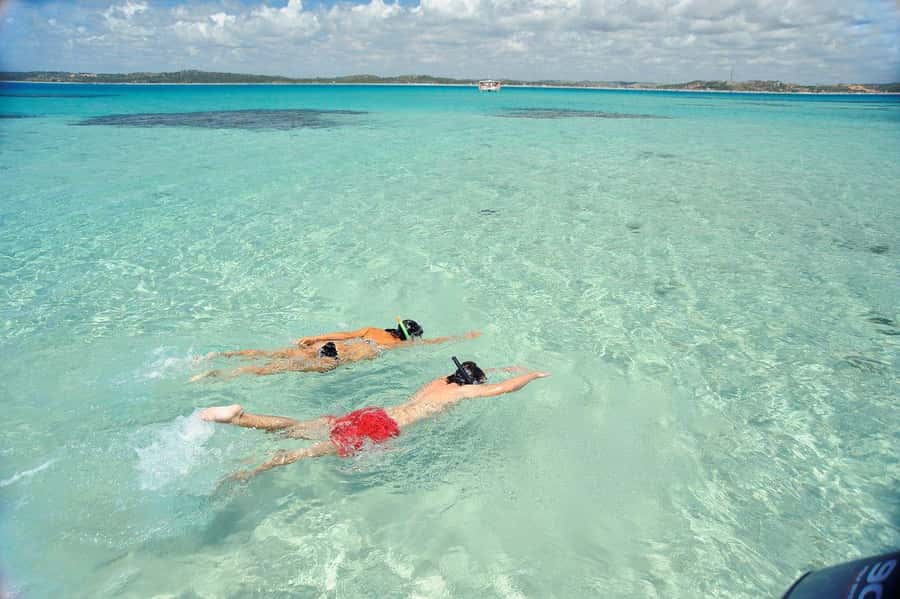 Maceio: Tour to Maragogi Beach - Keeping the day pleasant and organized