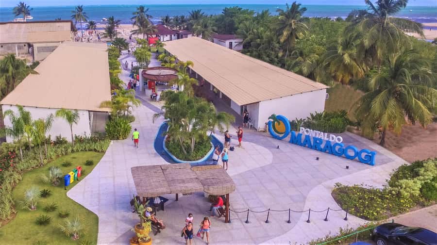 Maceio: Tour to Maragogi Beach - Who will enjoy this Maragogi day trip?