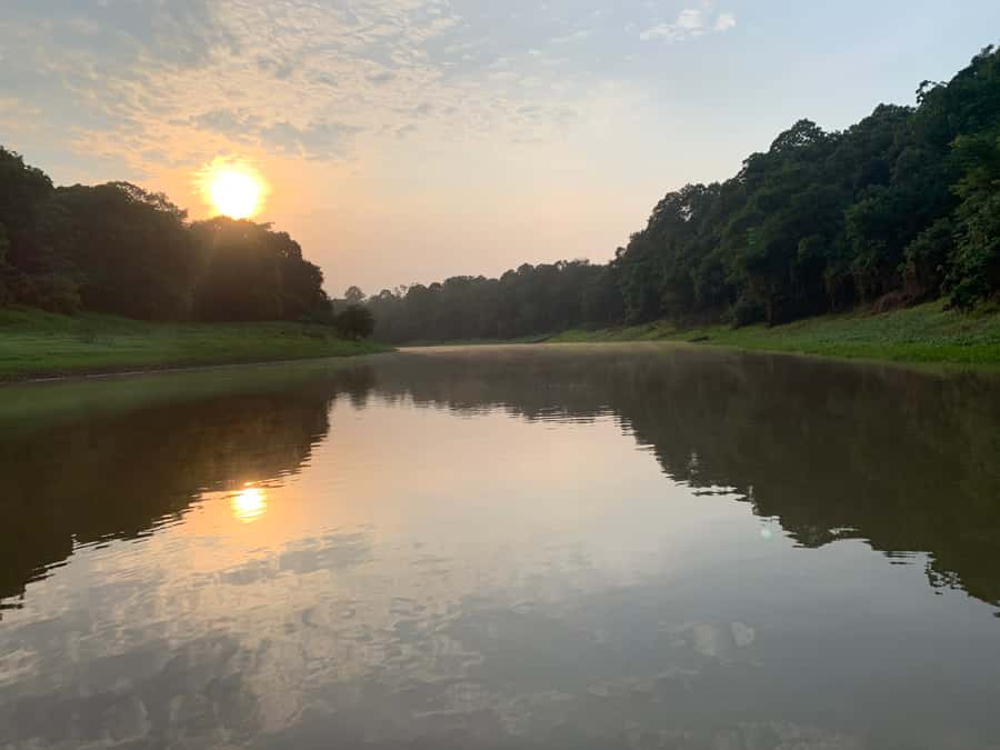 Manaus: 2-Day River Tour With Overnight Stay - January Lake, Catalão, and the giant pirarucu