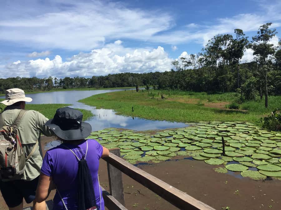 Manaus: 2-Day River Tour With Overnight Stay - Pink dolphins and a simple lunch