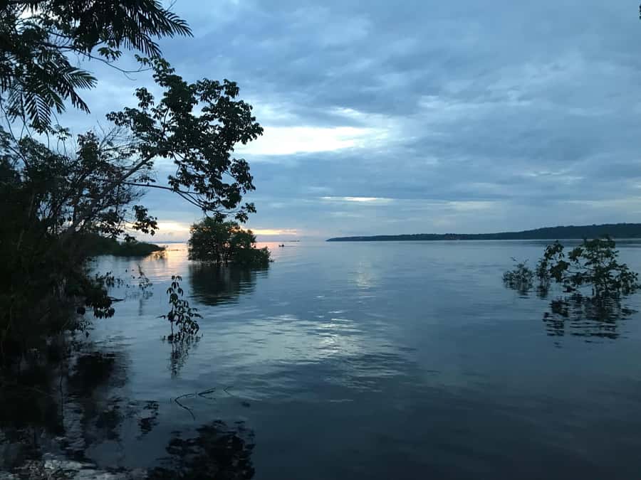 Manaus: 2-Day River Tour With Overnight Stay - Setting out from Manaus at 8 AM