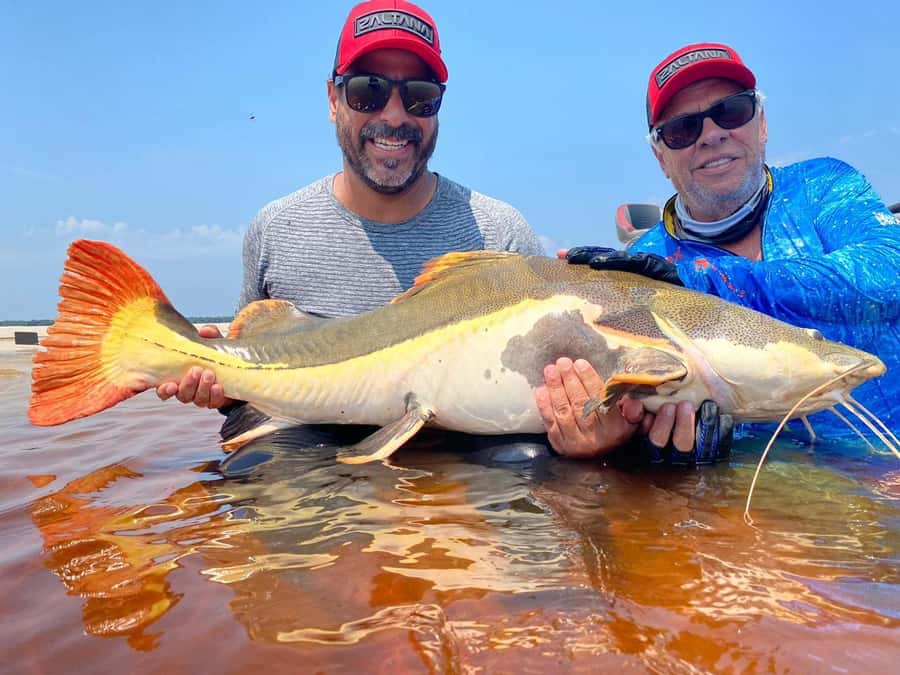 Manaus : A day of fishing on the Rio Negro - Key points to know before booking