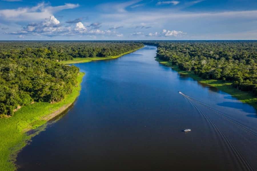 Manaus : A day of fishing on the Rio Negro - How the $286 price measures up