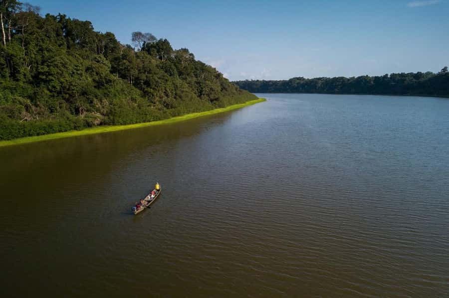 Manaus : A day of fishing on the Rio Negro - Who will enjoy this Rio Negro outing?