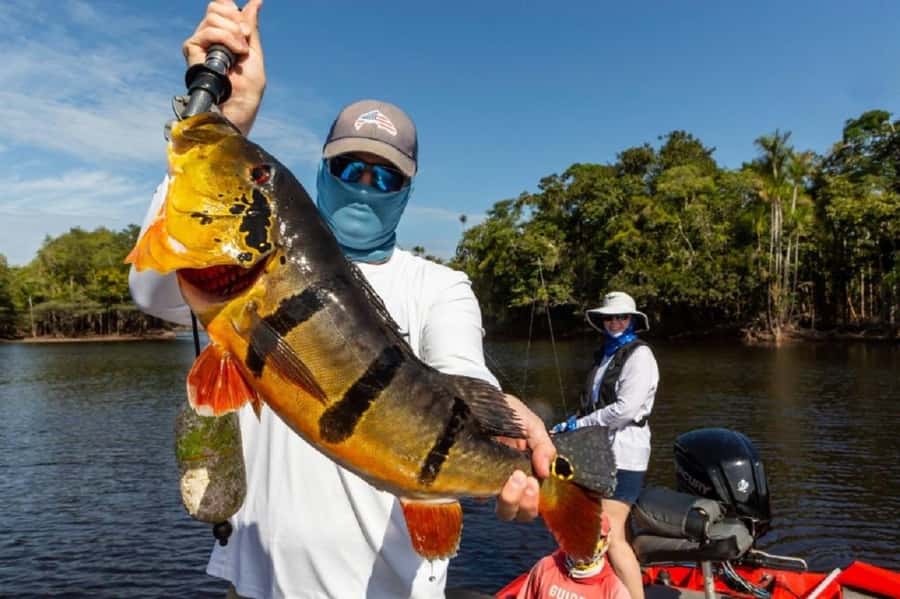 Manaus : A day of fishing on the Rio Negro - My call: book it for the river day, not the tackle