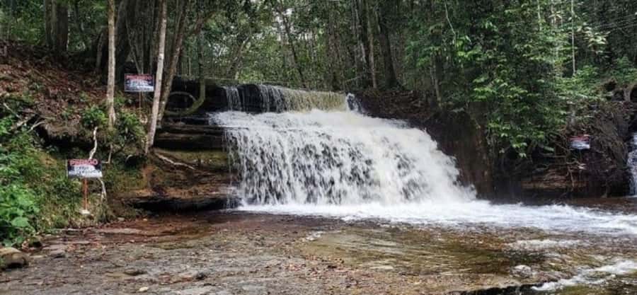 Manaus: Amazon Waterfalls Day Trip with Lunch - Is the $130 price fair?