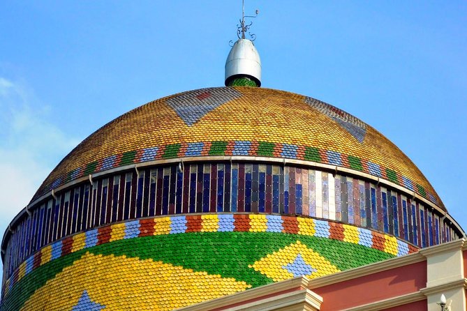 Manaus City Sightseeing Tour - How the guide and vehicle shape the experience