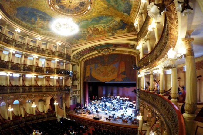 Manaus City Tour e Musa - MUSA changes the pace from city to forest