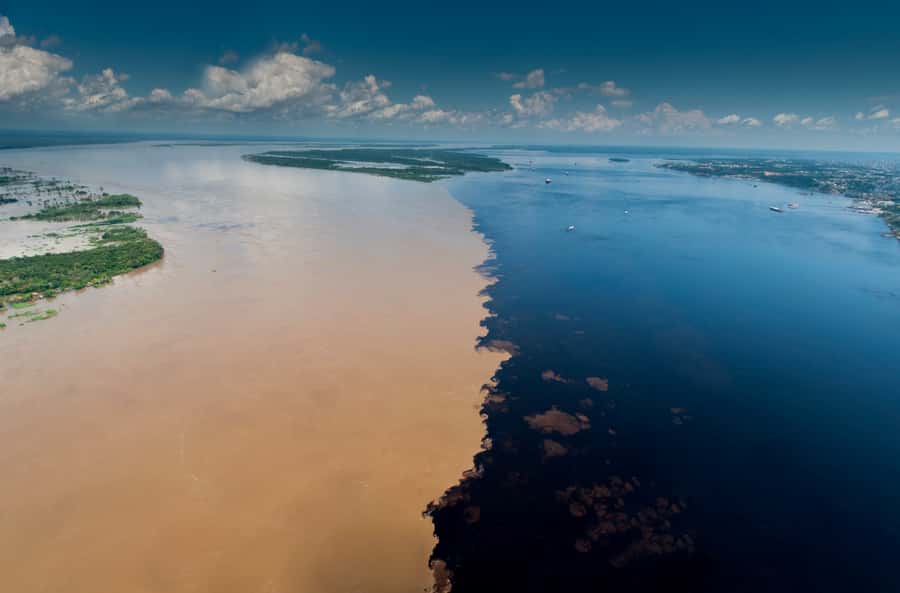 Manaus: Full-Day Tour on the Amazon River - Starting from Manaus and reaching the river