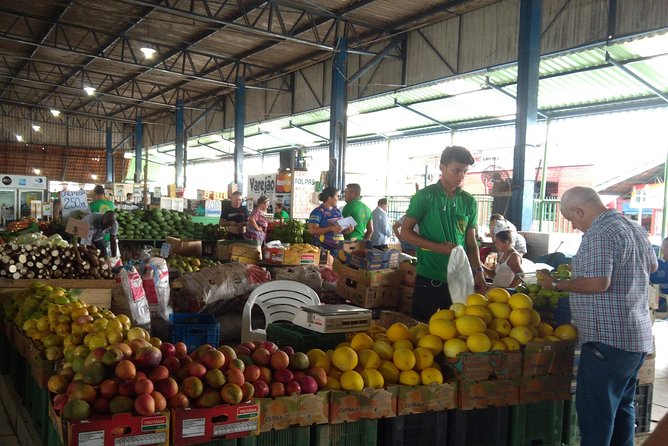 Manaus Full Day Tour, Opera House, Botanic Garden & Beach - Teatro Amazonas: Manaus at the height of the rubber boom
