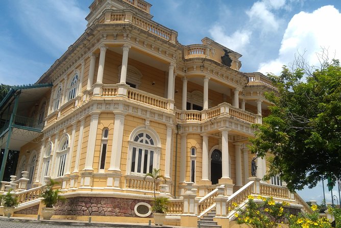 Manaus Full Day Tour, Opera House, Botanic Garden & Beach - MUSA: the strongest part for rainforest access