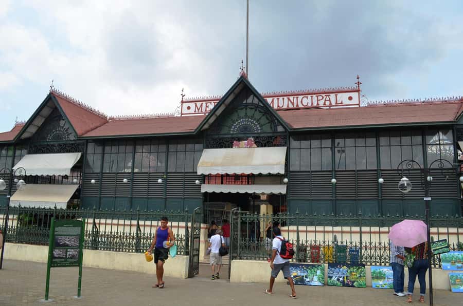 Manaus: Half-Day City Tour - Markets, local food, and everyday Amazon life