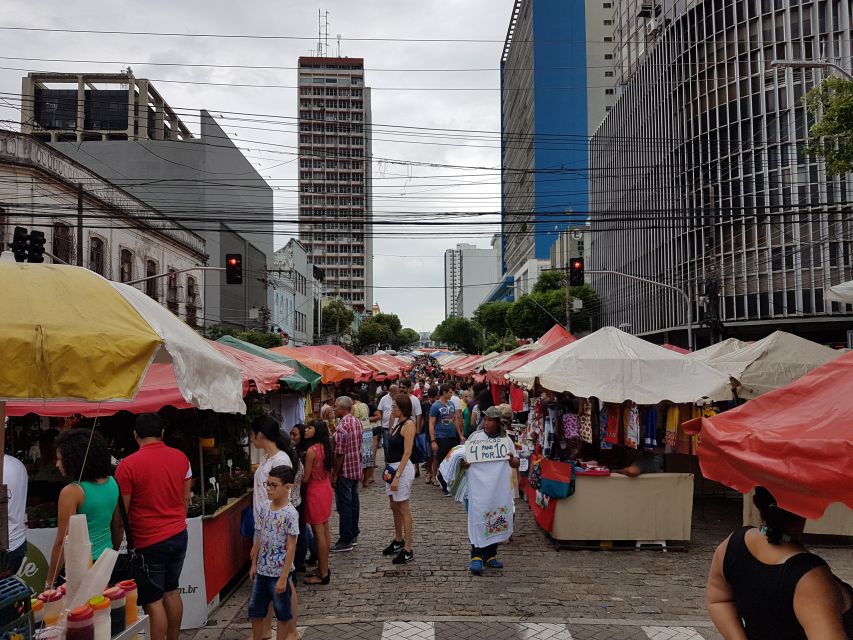 Manaus: Half-Day City Tour - River views, the bridge, and Ponta Negra
