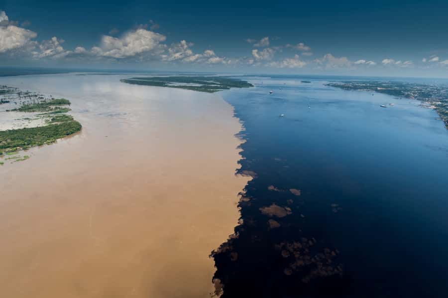 Manaus: Meeting of the Waters & Pink Dolphin Tour with Lunch - A full Amazon day from your Manaus hotel
