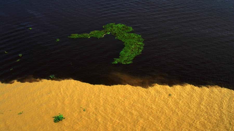Manaus: Meeting of the Waters & Pink Dolphin Tour with Lunch - How much value do you get for $75?
