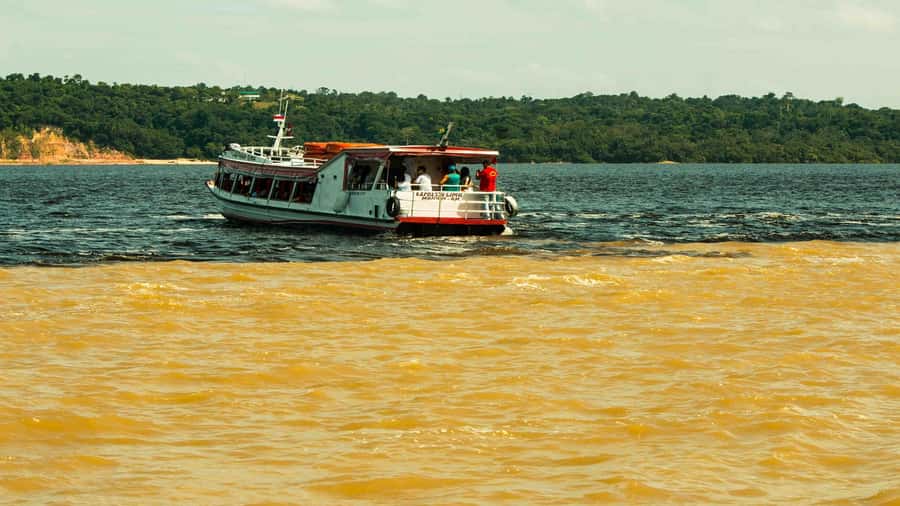 Manaus: Meeting of the Waters & Pink Dolphin Tour with Lunch - Who will enjoy this Manaus outing most?