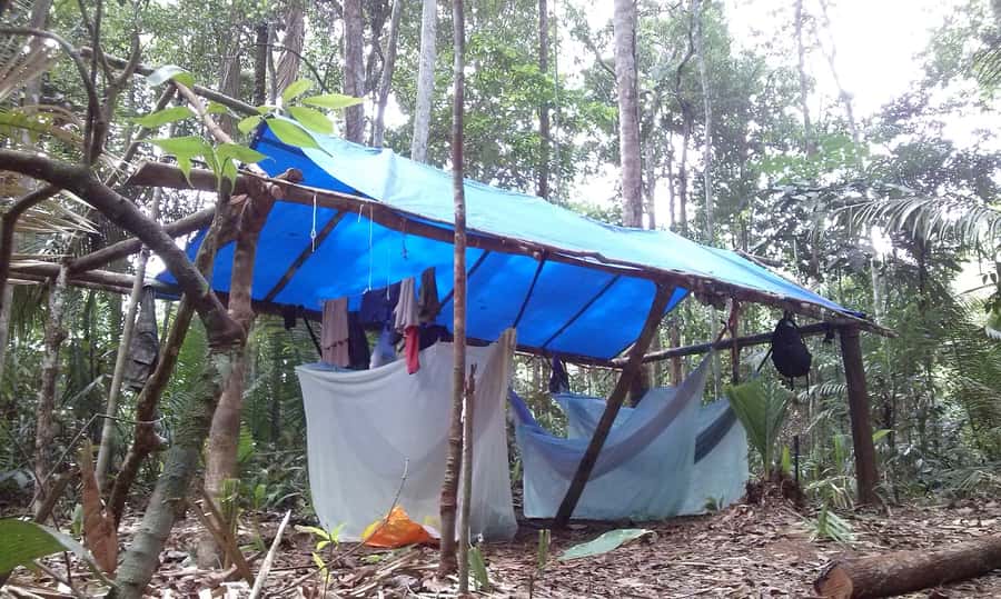 Manaus: Multi-Day Amazon Survival Trip with Camping - A 5:30 a.m. canoe ride and a morning jungle hike